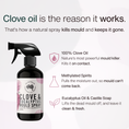 Load image into Gallery viewer, How Clove & Eucalyptus Mould Spray works — clove oil, methylated spirits, eucalyptus and castile soap