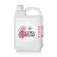 Load image into Gallery viewer, Clove & Eucalyptus Mould Spray(Size:5 Litre)