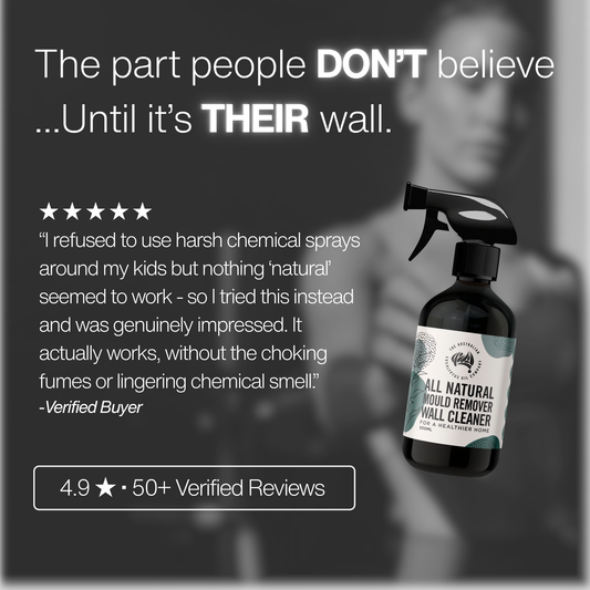 All Natural Mould Remover Wall Cleaner
