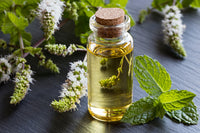 Boost Your Mental Clarity and Concentration with Peppermint Oil