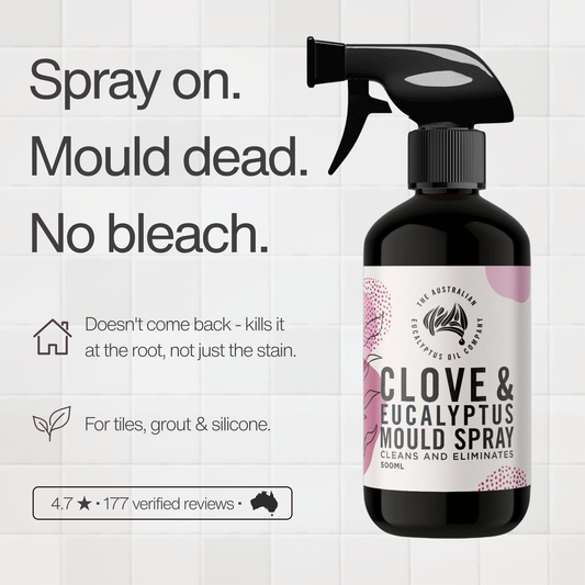 Clove & Eucalyptus Mould Spray