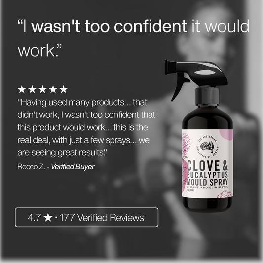 Clove & Eucalyptus Mould Spray