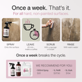 Load image into Gallery viewer, Clove & Eucalyptus Mould Spray

