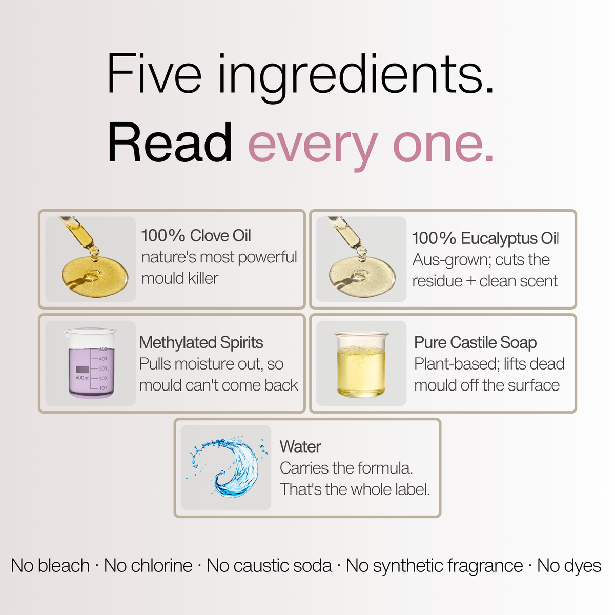 Clove & Eucalyptus Mould Spray ingredients — clove oil, eucalyptus oil, meths, castile soap, water