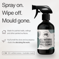 Load image into Gallery viewer, All Natural Mould Remover Wall Cleaner
