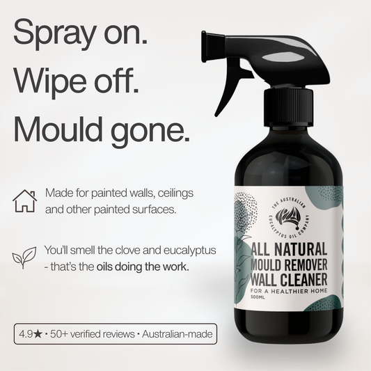 All Natural Mould Remover Wall Cleaner